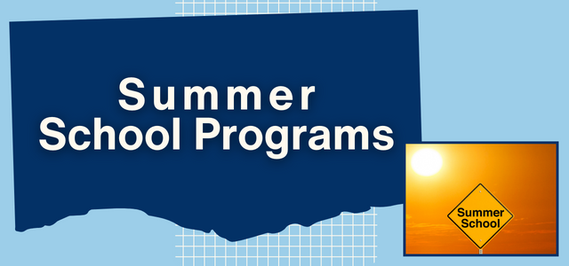 summer school logo