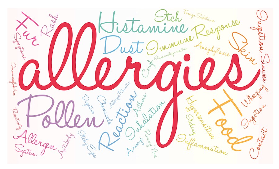 The word Allergies surrounded by potential irrantantss